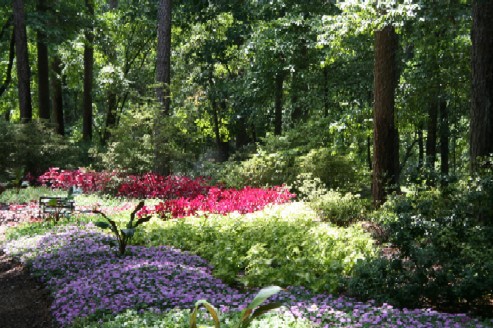 Garden Flowers My intended and I were planning something small and simple