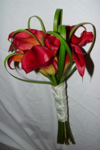 Red calla lilies with lily grass form a beautiful wedding bouquet for spring