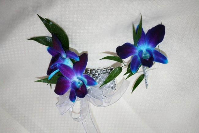 Wedding Party Photo Gallery Blue Orchid Corsage and Boutonierre 