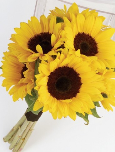 large and bright handtied bridal bouquet of beautiful yellow sunflowers