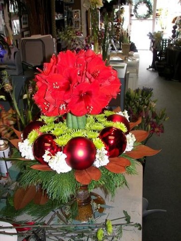 This photo shows a lovely Christmas centerpiece created using red amaryllis