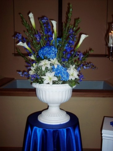 An explosion of blue hues and white flowers including Iris Royal blue