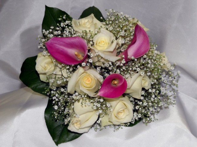 beautiful white rose flowers. [Beautiful White Rose Bridal