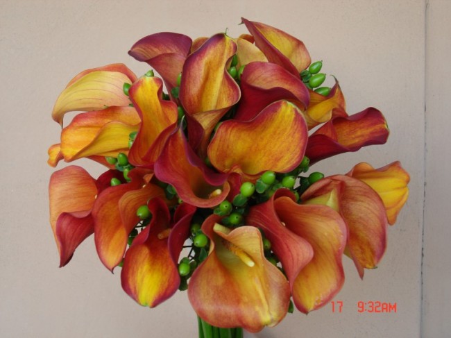 This beautiful orange calla lily wedding bouquet is absolutely stunning