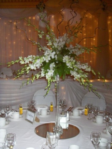 Wedding Party Photo Gallery Orchid Table Arrangement 