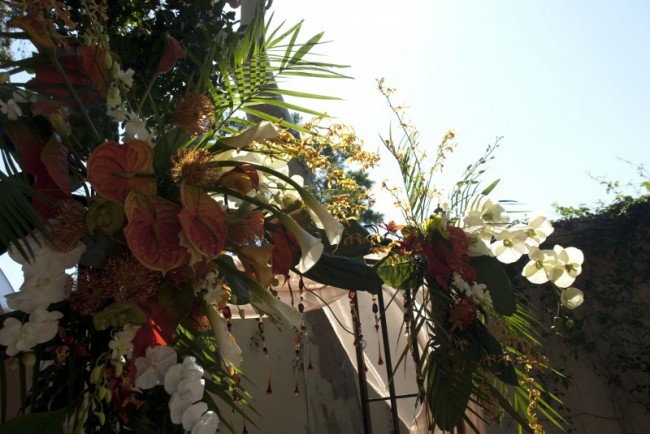 Wedding Party Photo Gallery Tropical Floral Arch 