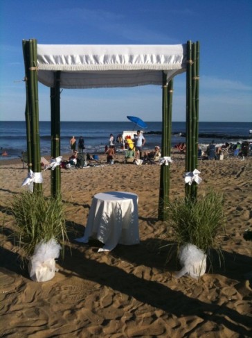 Wedding Chuppah Share Chuppah decorated with fresh bamboo accompanied with 