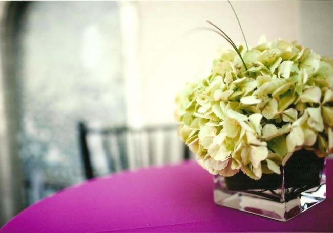 This beautiful hydrangea centerpiece looks great on this wedding reception