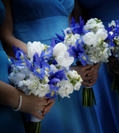 each holds a beautiful wedding bouquet of blue and white flowers