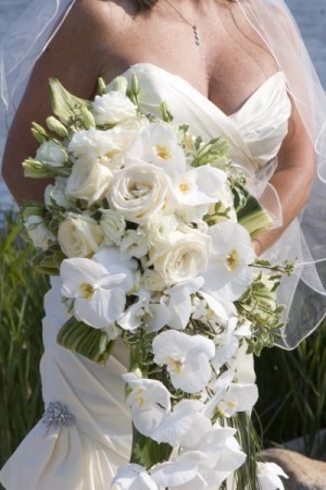 Orchid Wedding Bouquet Share Cascading bouquet of phalaenopsis orchidsbear 