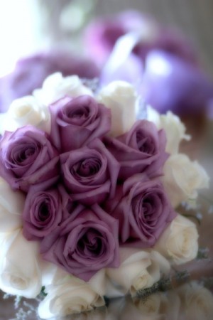 This bridal bouquet features gorgeous lavender flowers in the center and is 