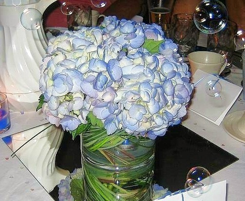 This hydrangea centerpiece was simply amazing Cylindrical vases were lined 