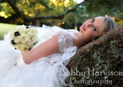 Gorgeous Wedding Dress and Portrait of Bride