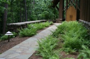 Garvan Woodland Gardens