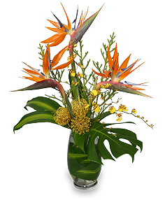 Modern & Tropical Flowers Modern & Tropical Flowers