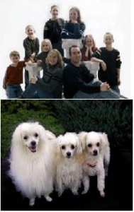 Great Family & Pet Portraits