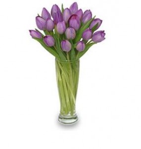 Lovely Purple Tulips