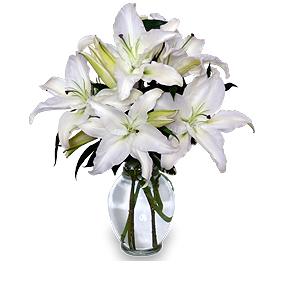 Beautiful Lily Arrangement