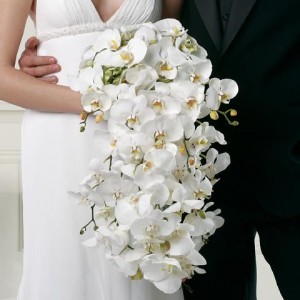 White Cascading Bridal Bouquet