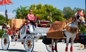 Indian Themed Horse Carriage