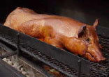 Pig BBQ Pig BBQ