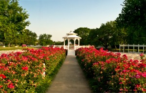 The Lakeside Garden