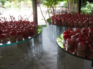 White Chocolate Covered Cherries