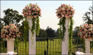 Roses on Columns