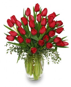 Red Tulips