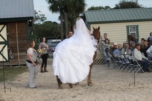 The Bride Arrives on Horseback