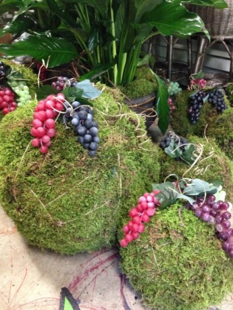 Moss Balls