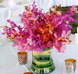 Explosion of Purple Flowers