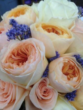 Upclose of Beautiful Flowers