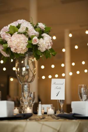 Big Elegant Hydrangeas