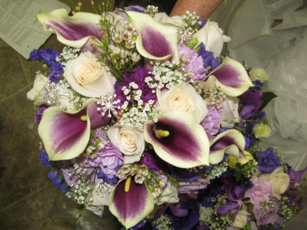 Gorgeous Purple And White Callas 