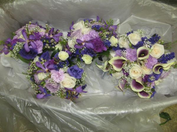 Pretty With Purple And Blue