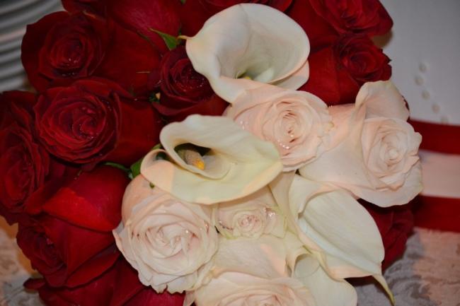 Red And White Roses