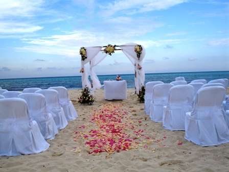 Rose Petals Mark The Way 