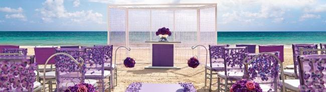 Lavender/Purple Wedding 