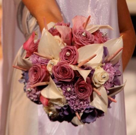 Pink Flowers and Roots