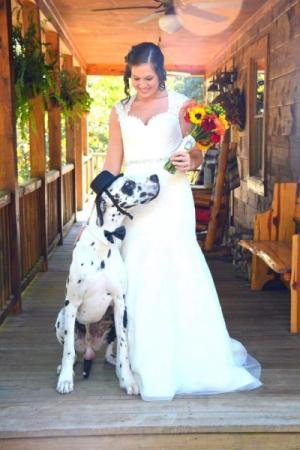 Bride with Dog