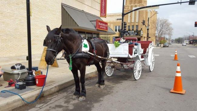 Holiday Carriage Rides