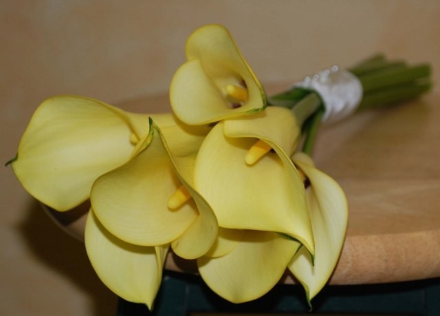 Yellow Calla Lily Handtied Bouquet