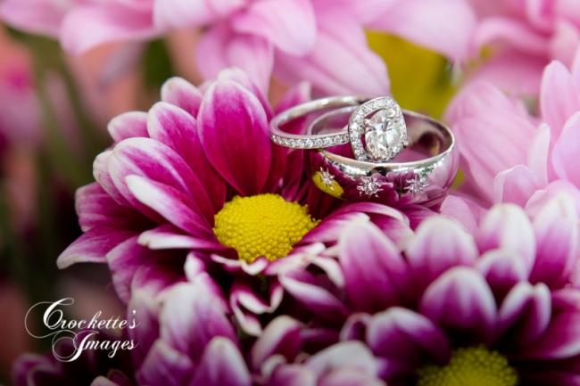 Wedding Rings