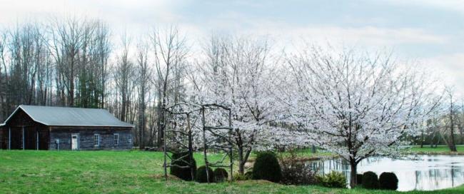 Barn Wedding Area Mid April