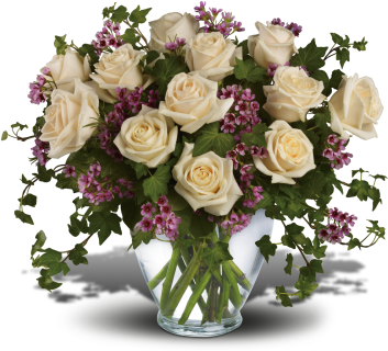 4fbaaabeab0fb01e10198cf872fa30ac.353x320.png