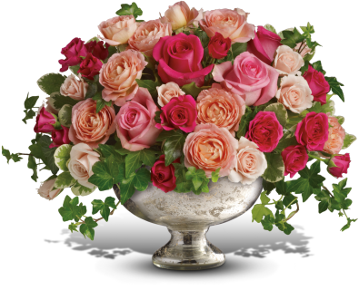 799570dca90c52052c82b97df43eade9.395x320.png