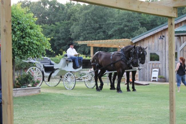 Horse drawn cart available!