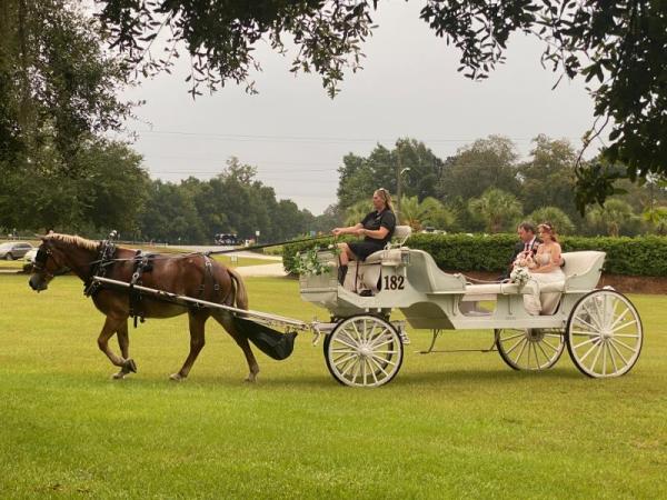 Wedding Carriage with the Bride and Father