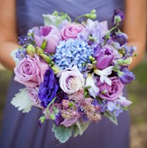 Lavender Romance